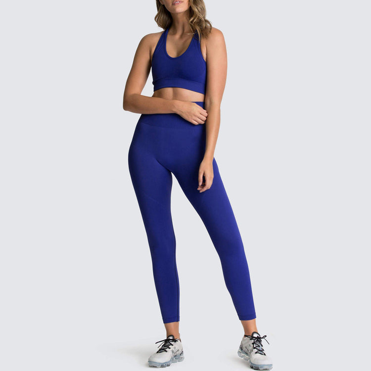 Seamless 2-Piece Sports Set