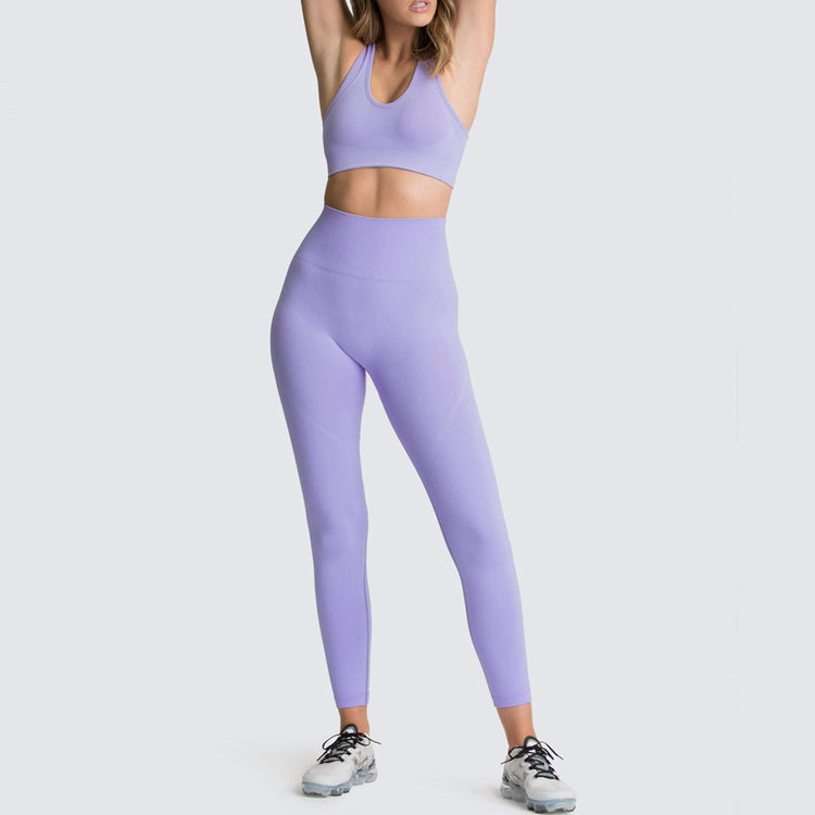 Seamless 2-Piece Sports Set